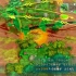 【宝可梦救助队DX】全45种宝可梦Mega进化【宝可梦 不可思议的迷宫 救助队DX】