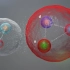 物质能否无限细分？夸克之下还有更小的粒子吗？