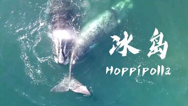 【Hoppípolla】你可以永远相信<em class="keyword">冰岛</em>音乐