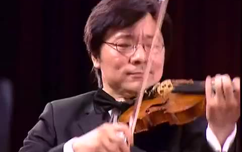 小提琴《庆丰收》薛伟独奏版