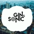 【国外混音大作】Gin&Sonic 一月流行电音MIX 2021