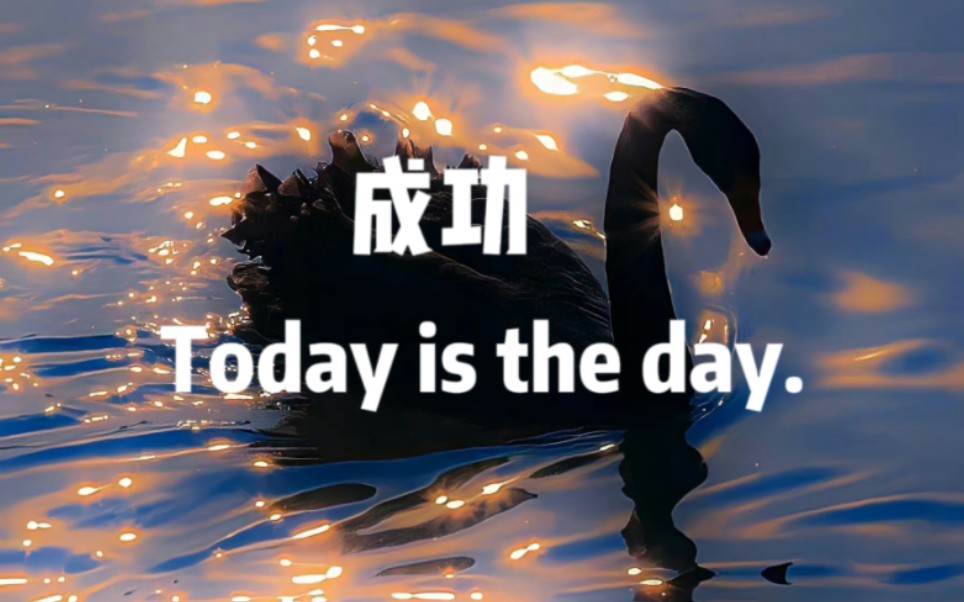 在今天我实现了梦想的一切｜Today is the day｜Manifest everything｜庆祝成功，收获喜悦