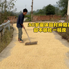 4月被裁员带爸妈去北京旅游，回家发现3亩地被承包人种了，只剩下屋后不好收割的七分地，爸爸不忍心荒废，执意要种上稻谷。虽然收获不多，却承载着爸爸对土地和家的爱