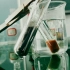 有机化学实验——醛类的检验与银镜实验