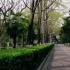 南京大学2020宣传片