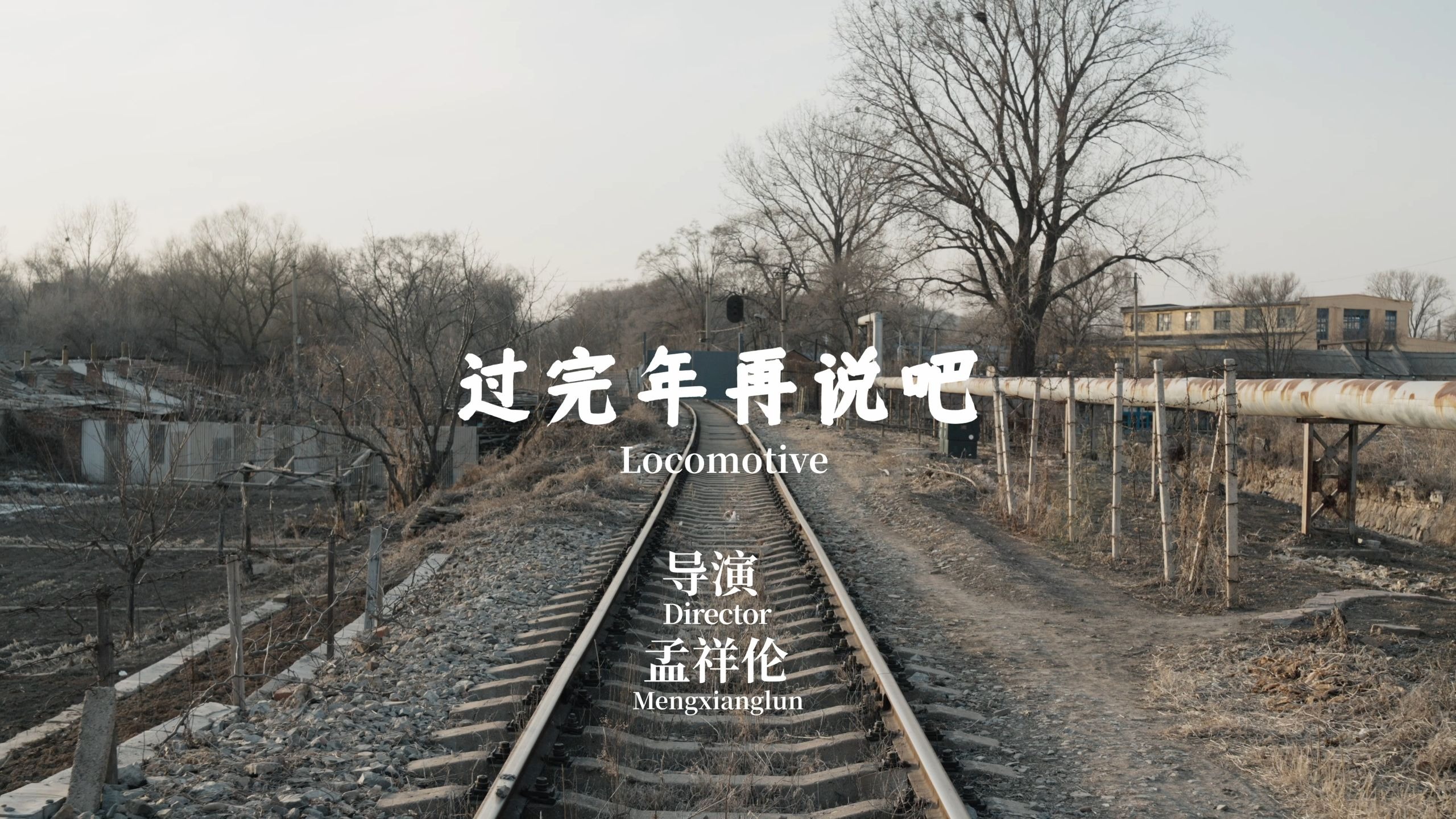 《过完年再说吧》