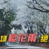 【武汉时间】来看这场樱花雨，绝美！