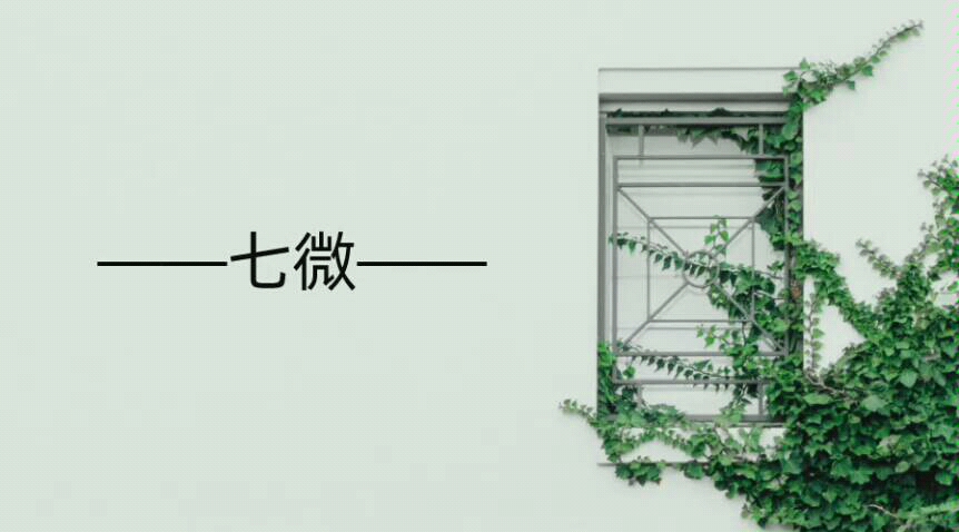 七微语录一偶然翻出了很多年前买微微的书送的微心语笺