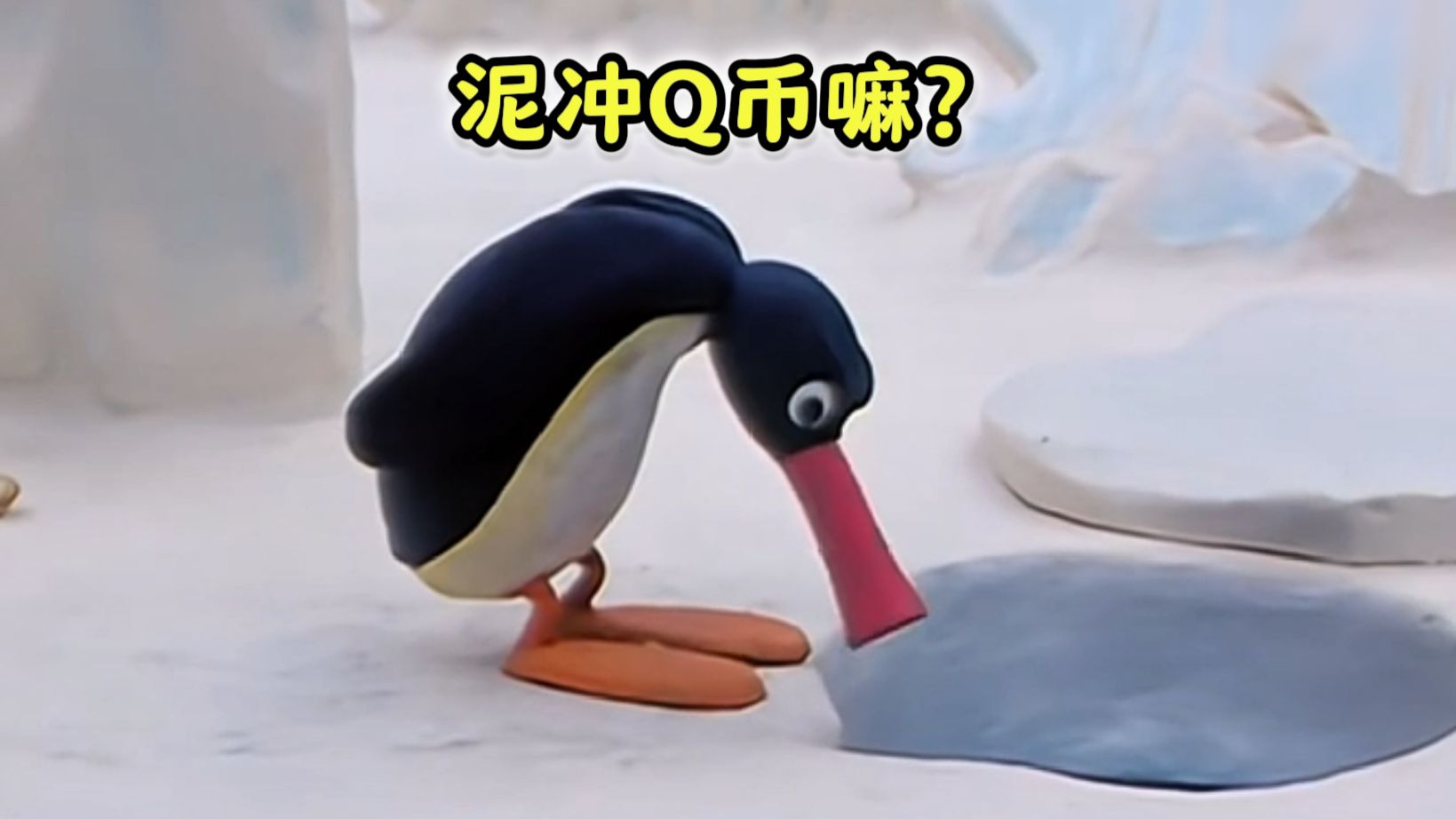《河南企鹅制裁海豹的珍贵影像》