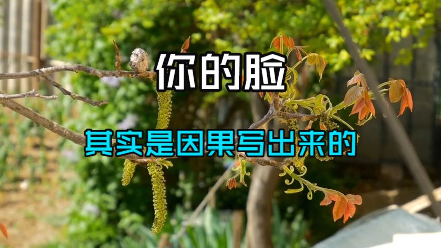 你的脸，其实是因果写出来的。