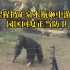 猩猩扔矿泉水砸中游客，园区回复：正当防卫