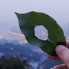 真正的梦想是什么