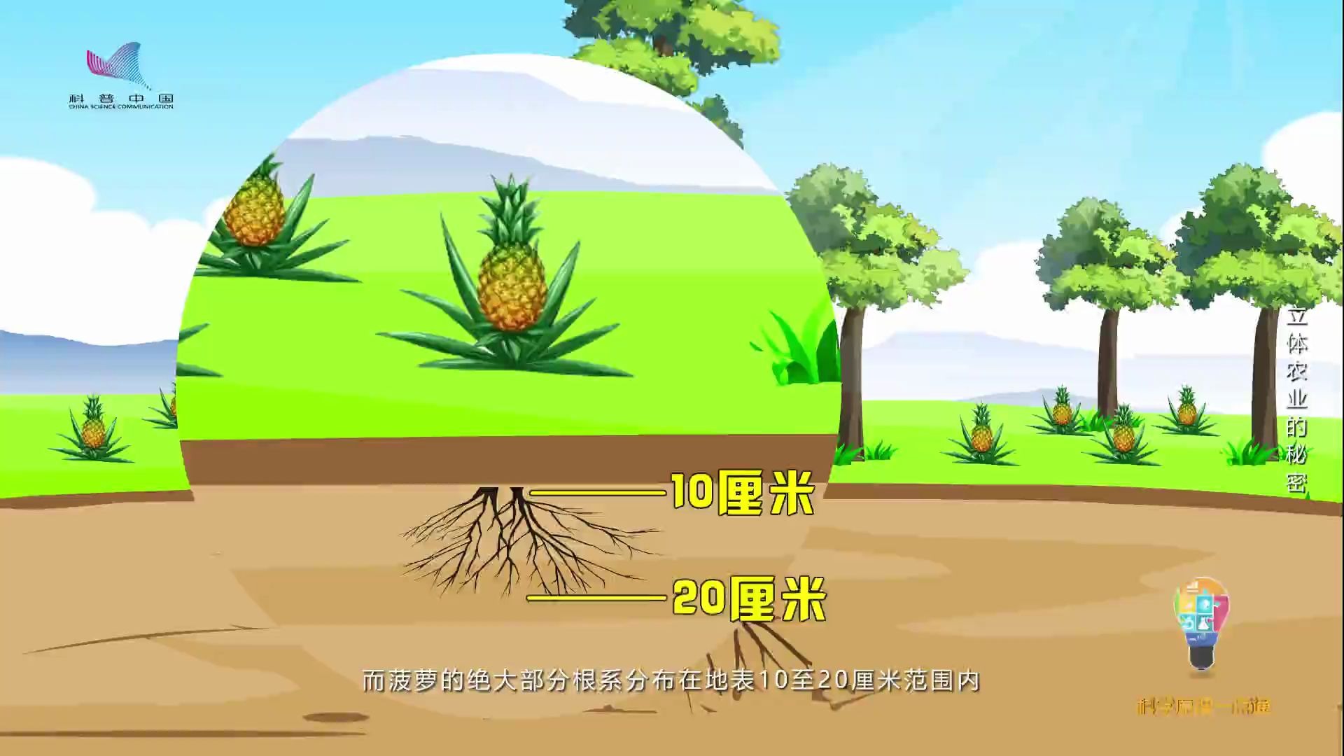 【地理百科】立体农业的奥秘