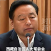 西藏自治区人大常委会原党组副书记、副主任丁业现被查