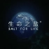 [CCTV纪录片]生命之盐/你所不知道的那些盐 Salt for Life (2019)