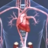 这才是微创手术，冠状动脉支架植入手术过程，3D演示。。