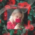 花神系列✧红玫瑰