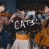 音乐剧「 猫 」主题曲 - 回忆 & 小提琴 大提琴 钢琴 Memory 'Cats' (violin,cello&pi