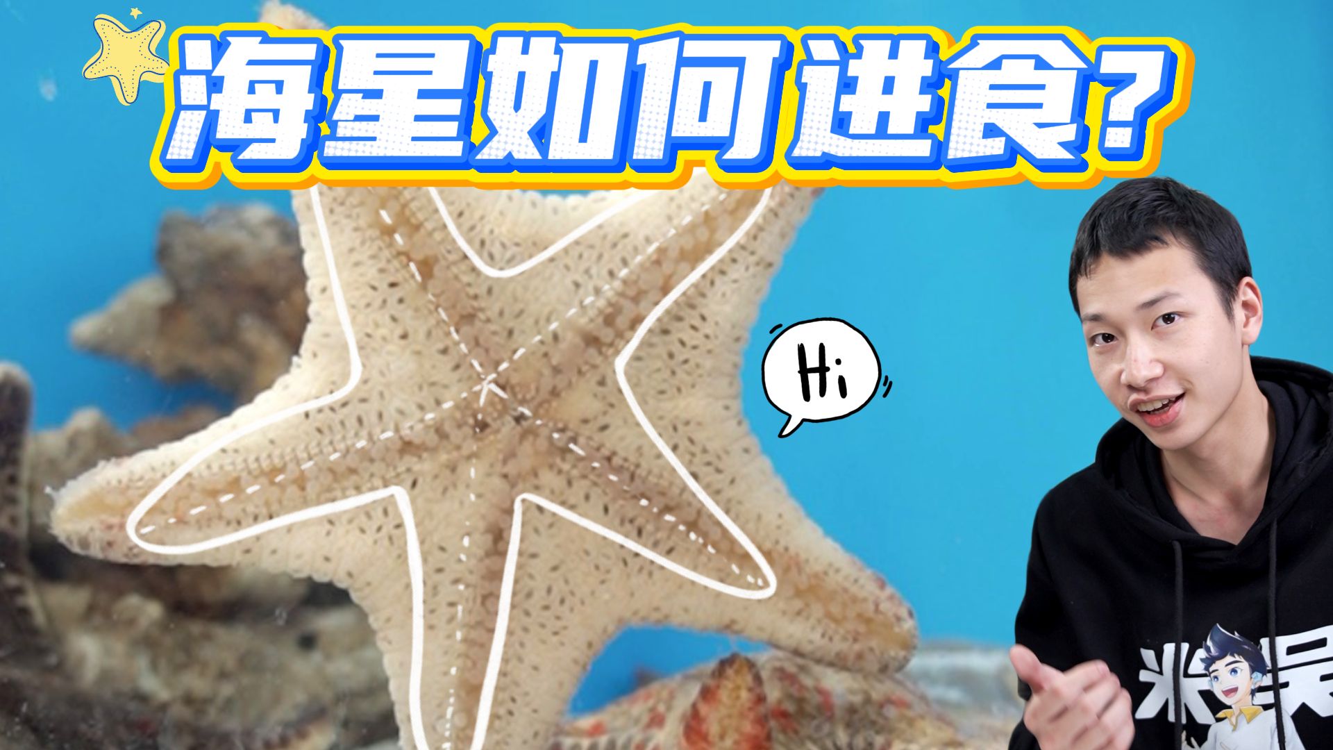 历时七天，我们终于拍到了海星吃东西全过程！