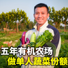 十五年有机农场做单人蔬菜份额了