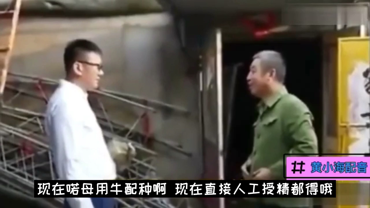 宾阳方言配音三叔配牛结局好搞笑