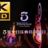 4K丨60帧丨收藏画质❄️迪士尼五岁生日庆典特别节目❤️上海迪士尼❄️