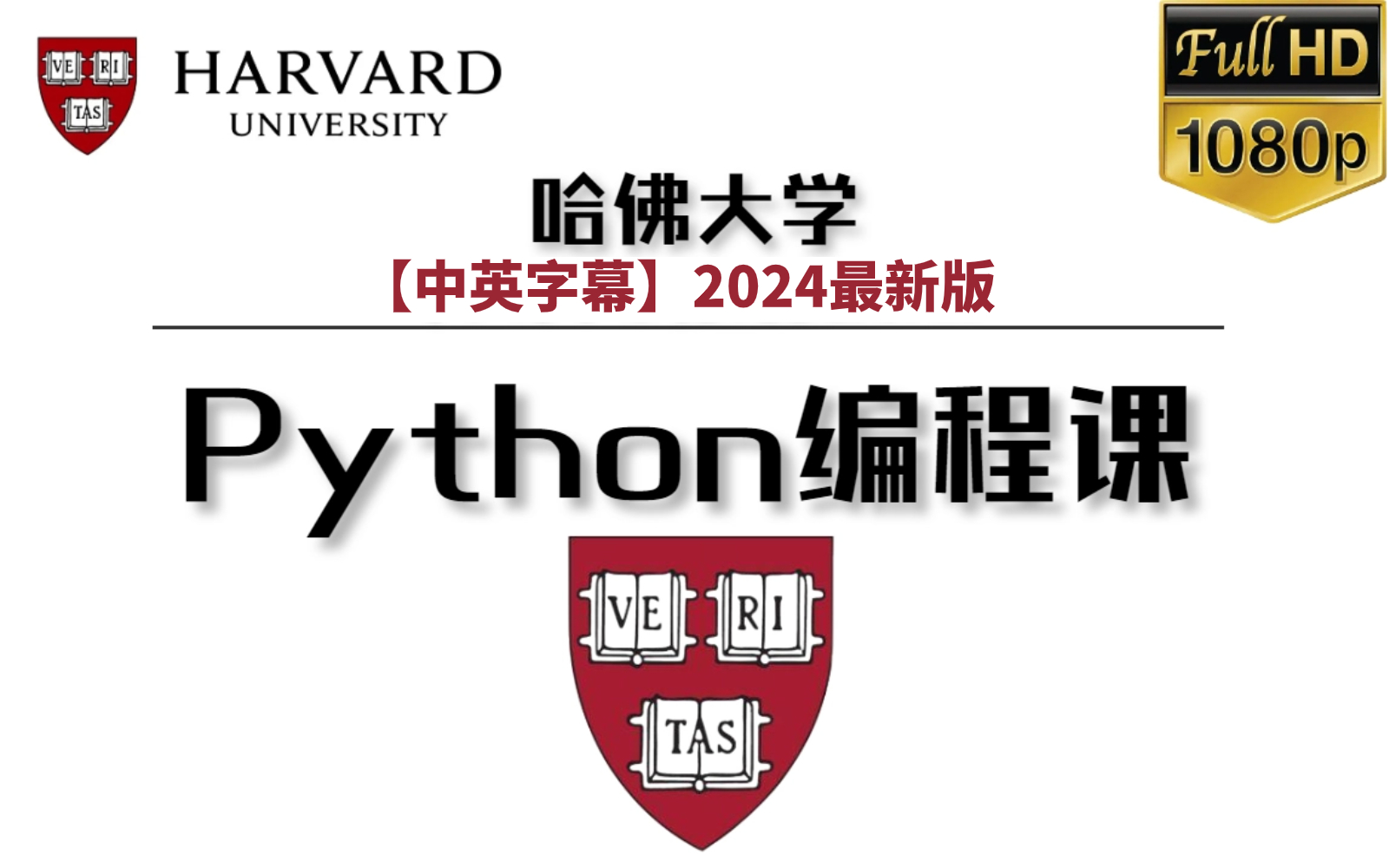 【Python 与 JavaScript 网页编程】哈佛大学⚡️最受欢迎公开课！适合小白入门，或者大佬休闲 -（中英双语字幕）