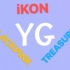 YG iKON BLACKPINK TREASURE礼盒碟片内容 中字（持续更新）