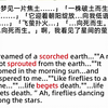 每天学一点崩铁：导致beget