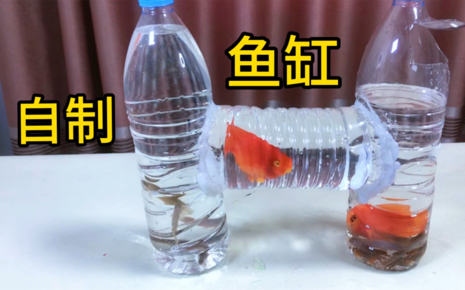 据说：用塑料瓶简单几步就能做成鱼缸，帅小伙实测