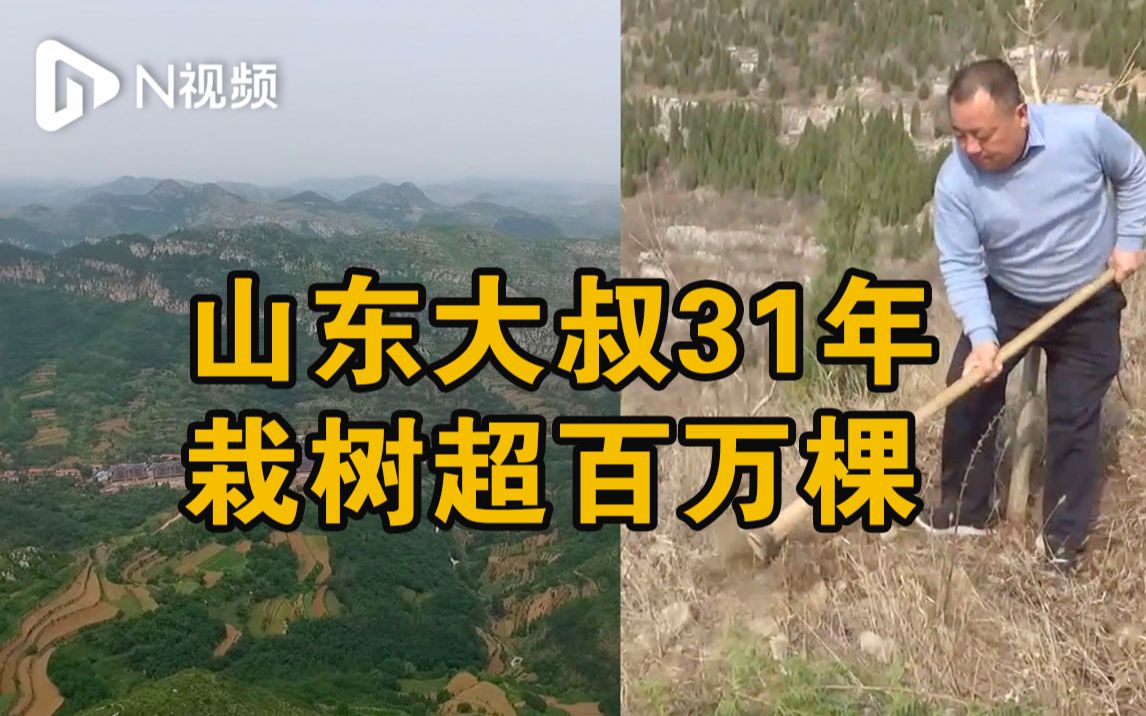 山东大叔31年栽树超百万棵，骑坏13辆摩托车，荒山成绿林