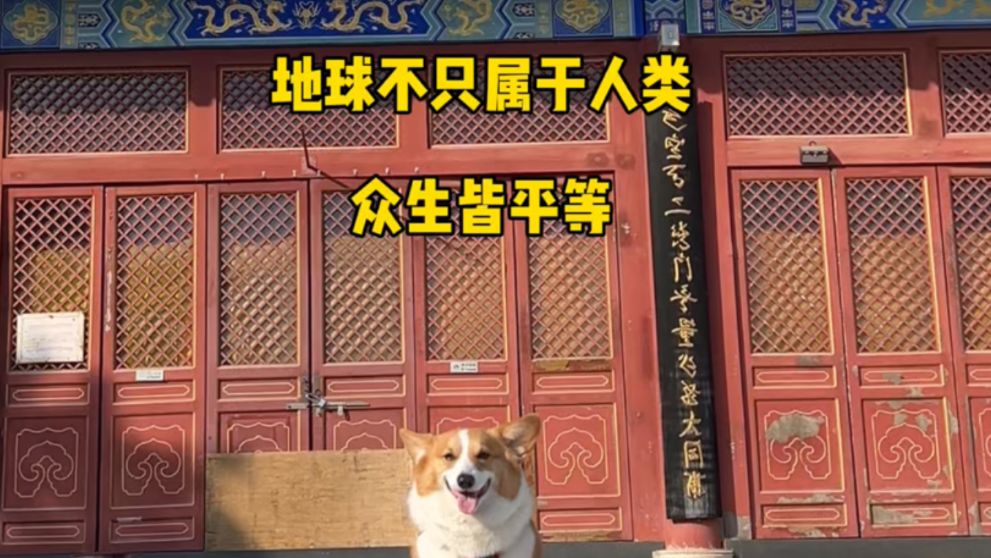 地球不只属于人类，众生本就平等