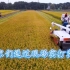 袁隆平爷爷的遗愿实现了，杂交水稻达到亩产1326.77公斤