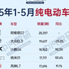 2025年1-5月纯电动车型累计销量排行