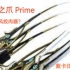 【Warframe】全热门武器紫卡推荐-近战武器篇-凯旋之爪 Prime