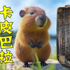 萌翻天的卡皮巴拉曾占领北美：动物界新顶流，水豚的极盛期