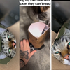 自制一个拍摄猫猫食物视角的装置