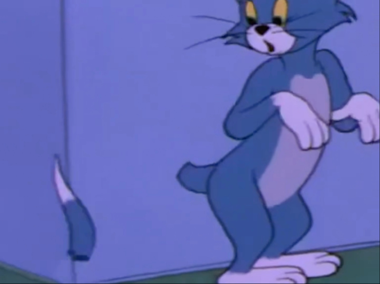 汤姆尾巴被剪了