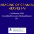 2138 Imaging of the Cranial Nerves I - VI