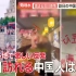 日媒报道核污水排放之后中国的实际情况：你自己不要命为什么拖别人下水？(中日双语)(23/08/31)