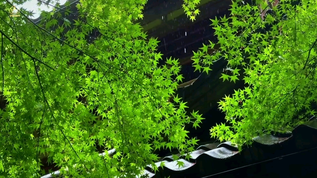 『高频能量音疗』超强净化▪提高振动频率▪缓解疲劳▪释放潜意识障碍▪去除负能量▪增强运势▪清净磁场▪深度放松助眠（睡觉时听，可以在睡梦中清理负面情绪释放压力）