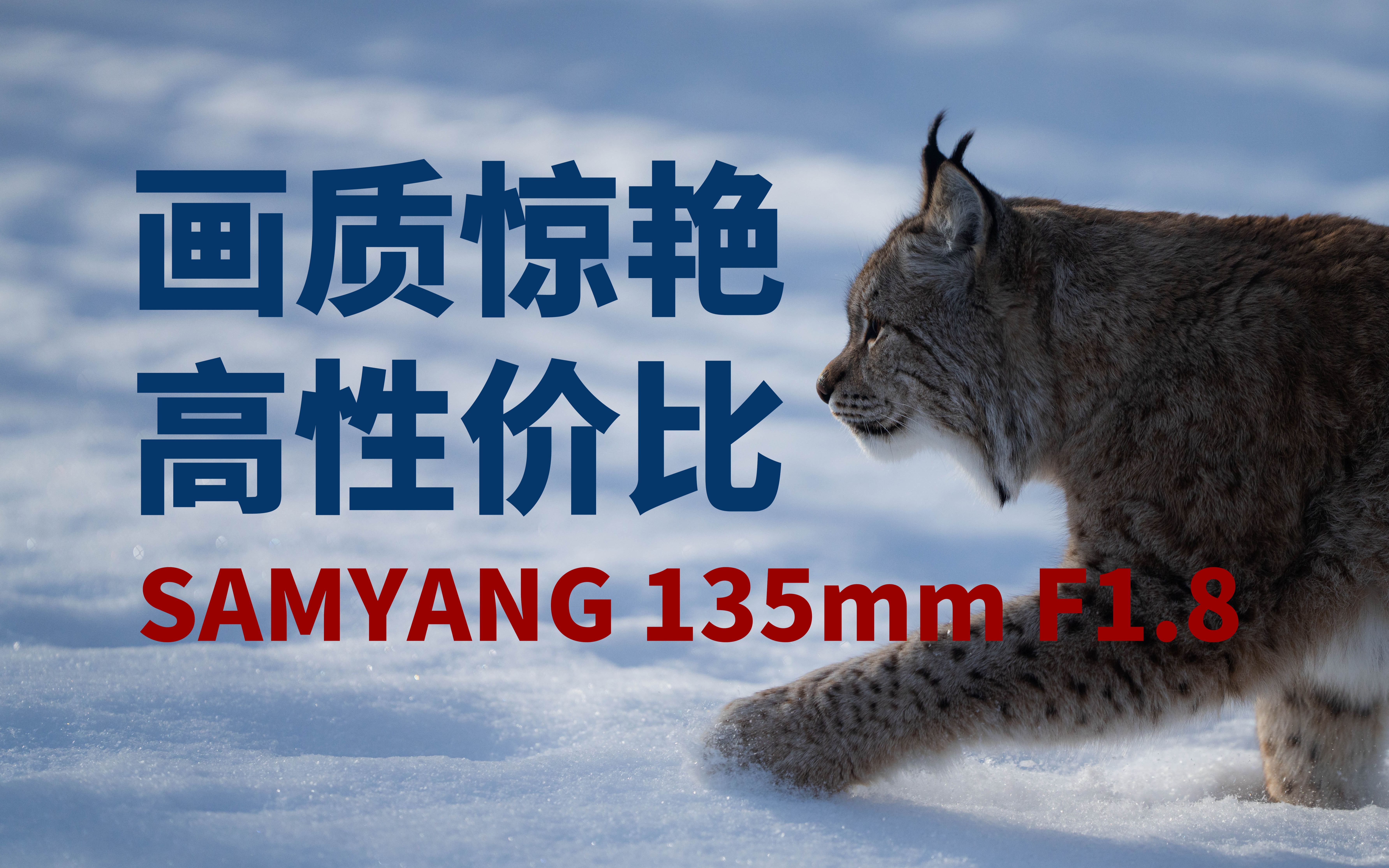 你值得拥有的高性价比135mm镜头：SAMYANG 135mm F1.8 FE评测