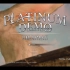 【实况】最终幻想15 Platinum demo