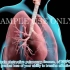医学动画：COPD 慢阻肺深入理解