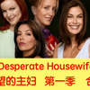 绝望的主妇｜第一季｜合集（已完结）｜中英字幕｜听力&口语&日常英语对话