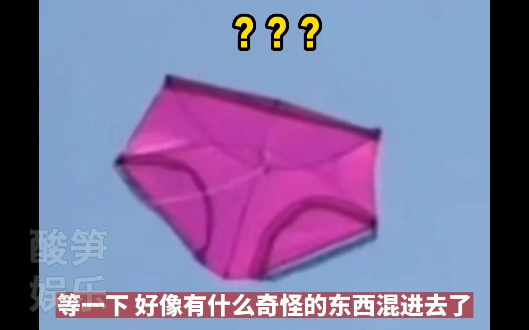潍坊风筝节的风筝真的很炸裂，怎么还有“苦茶子”啊，这个“风”是发疯的“疯” 吧！