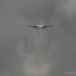 超清拍摄：飞机云和尾涡