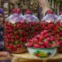 草莓汁罐头制作，在地里采摘几十斤的草莓，田园里熬制成过冬的最爱食品