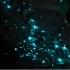 【1080p】新西兰的一个萤火虫洞，美的一塌糊涂