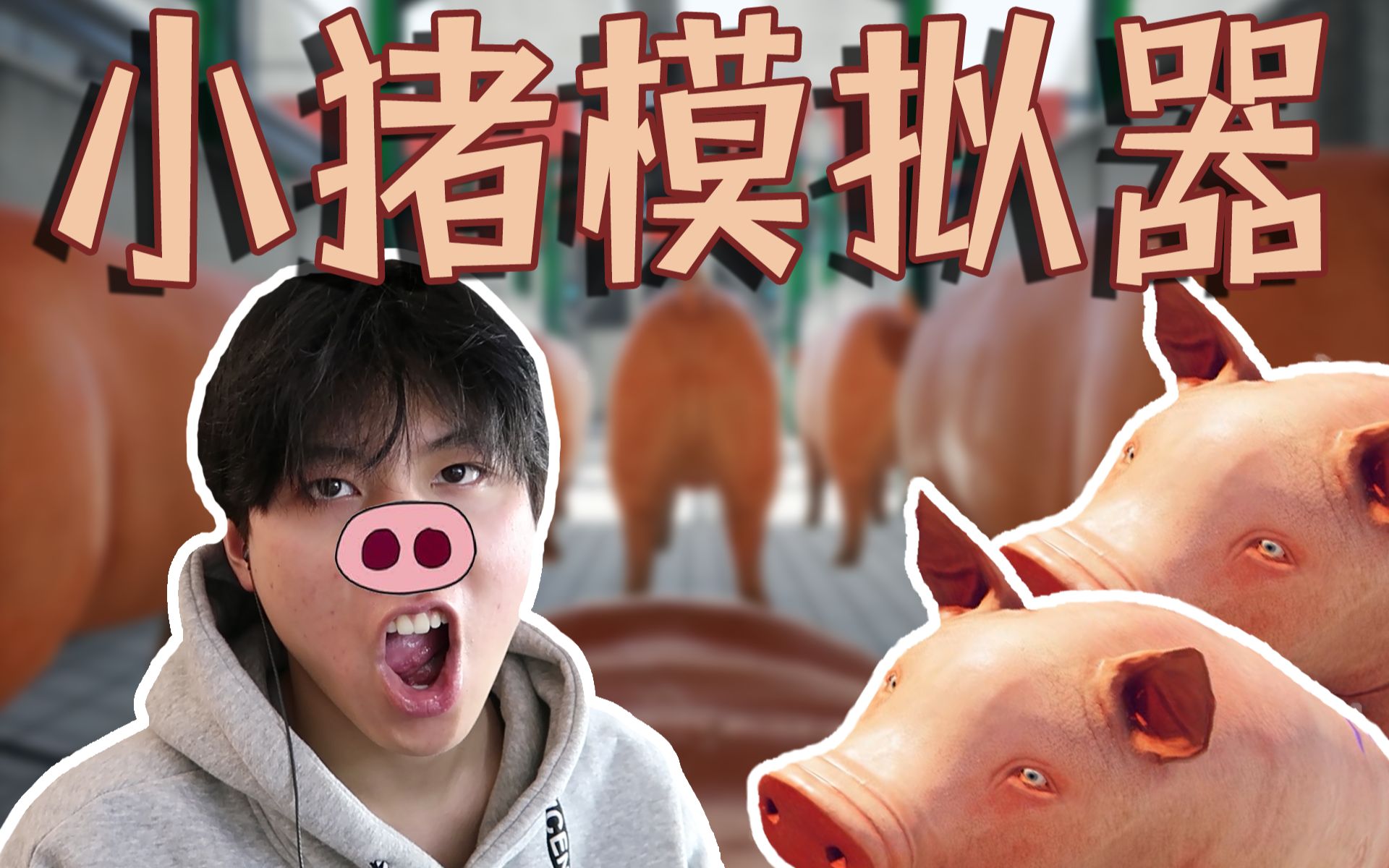 小猪模拟器 Pig Simulator 丨一觉醒来发现自己变成猪了哔哩哔哩 (゜゜)つロ 干杯~bilibili